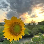 Bed & Breakfast Casa Vola Bisalta