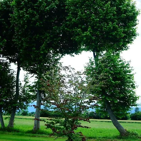 Casa Vola Bisalta 3*