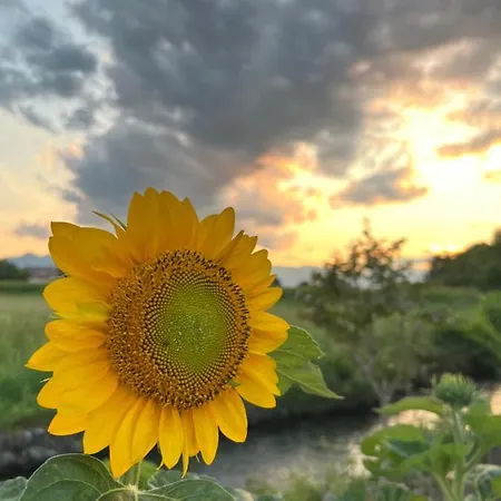 Bed & Breakfast Casa Vola Bisalta